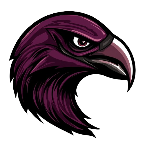 Ravens_logo-removebg-preview (2)
